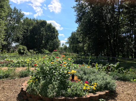 A lush garden with colorful flowers and green plants under a bright sky.