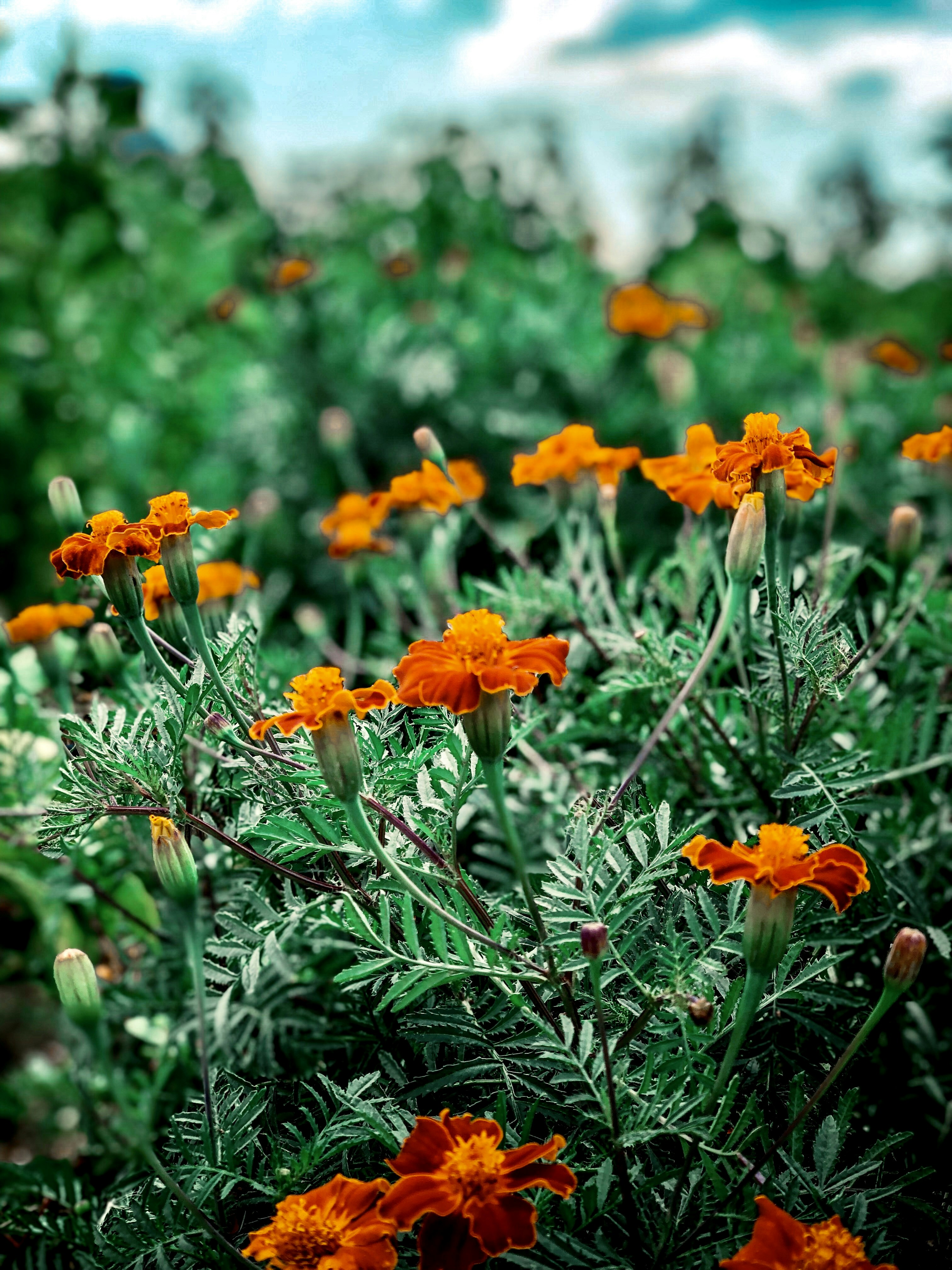 Photo by fatihwashere