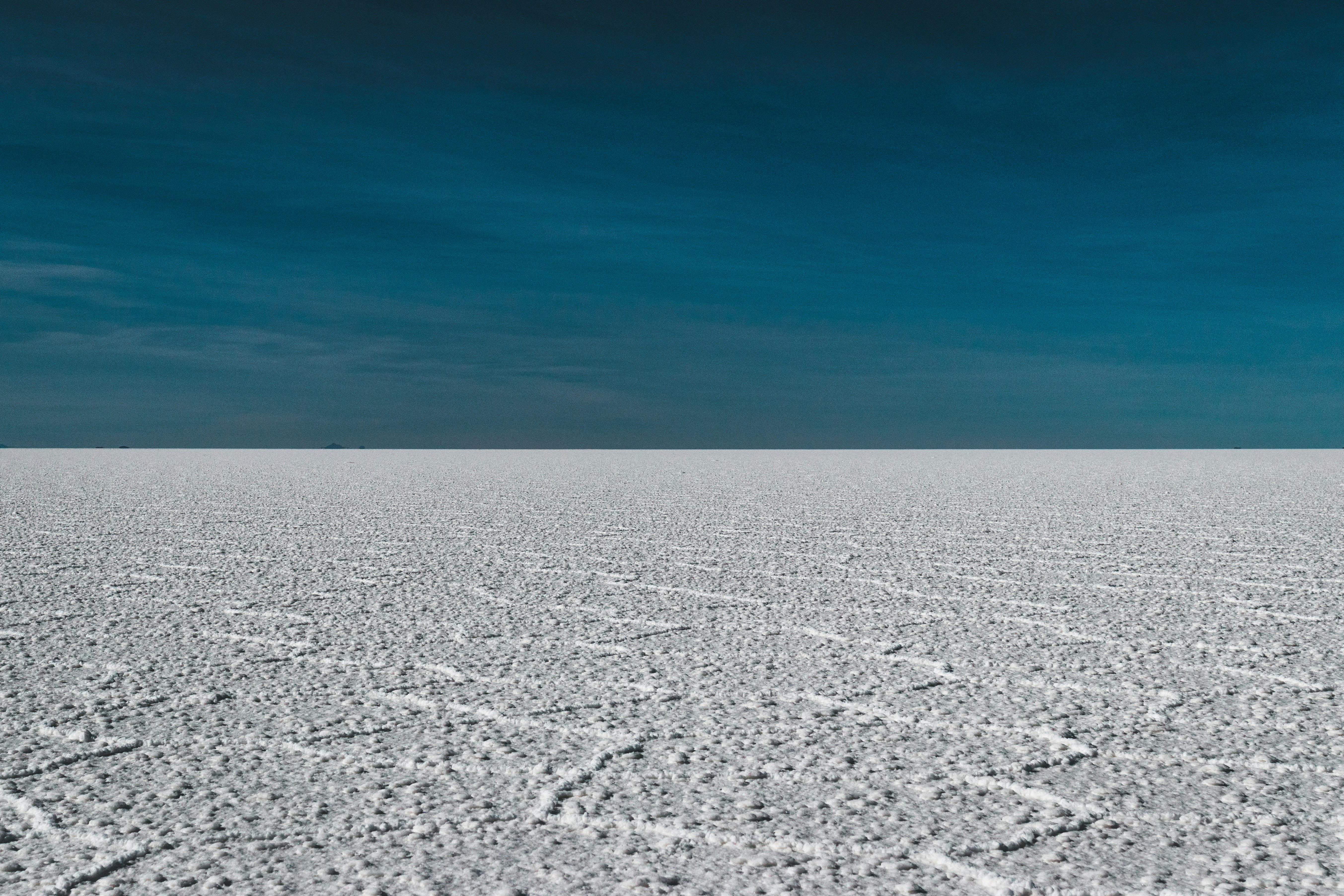 FTB: Leafs get Salty