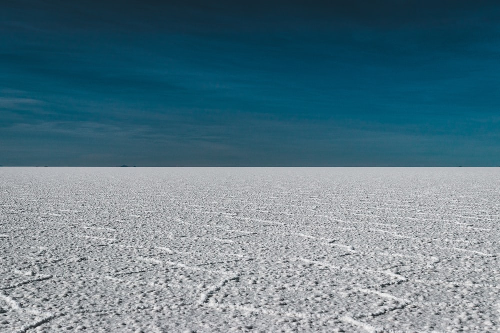 Una vasta distesa di neve con un cielo blu sullo sfondo