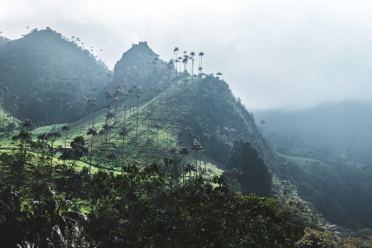 Misty green mountains of Colombia's Coffee Region at dawn