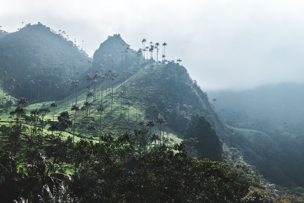 green mountain during daytime