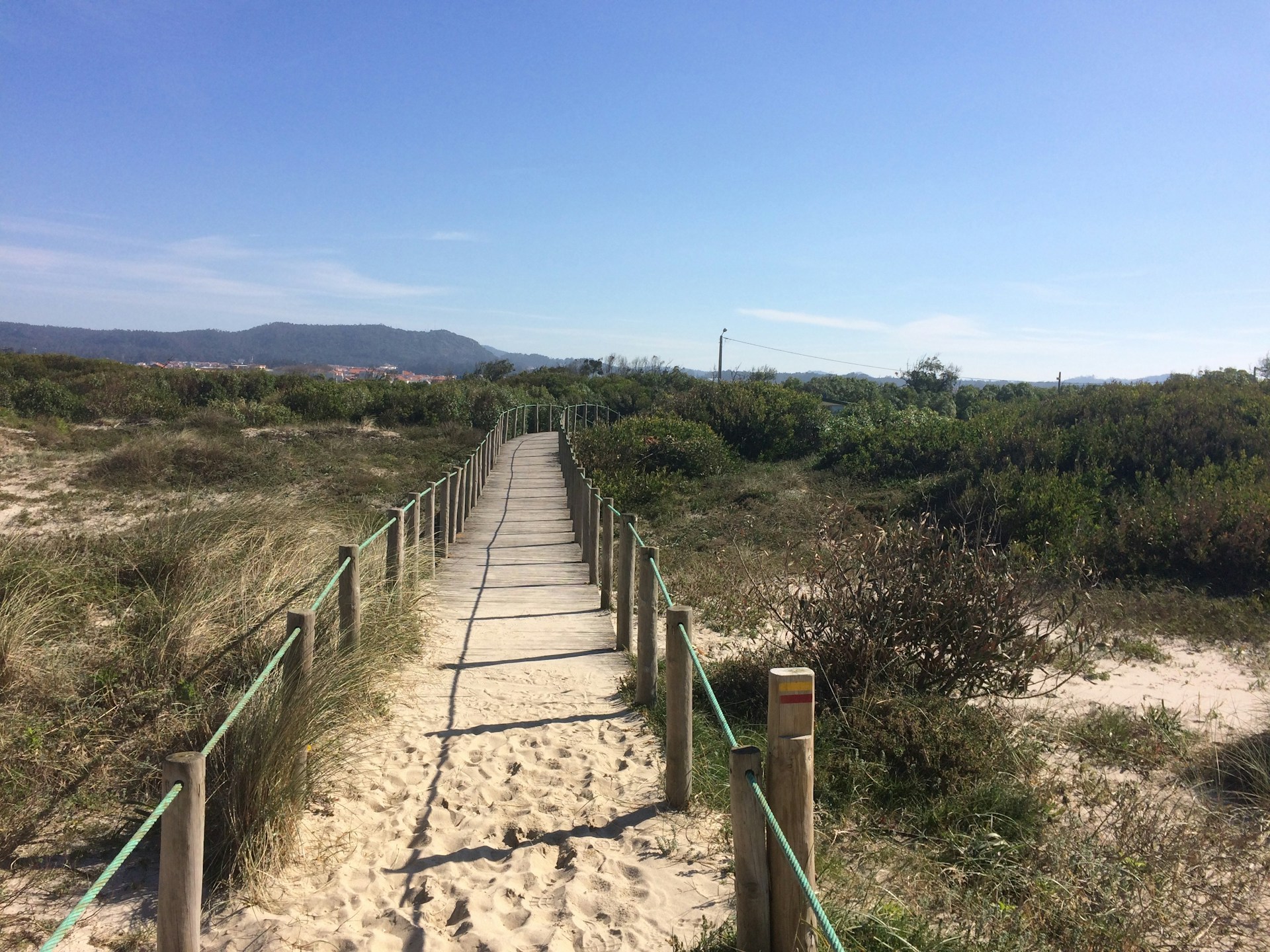 brown wooden beach dock