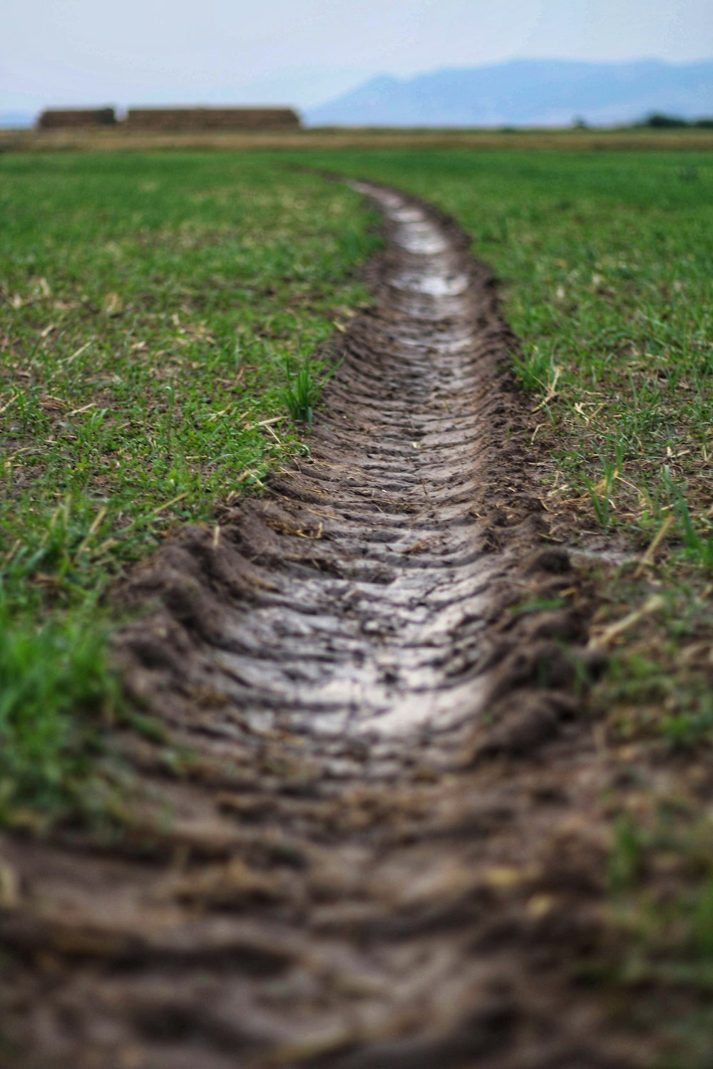 brown tracks on grass field