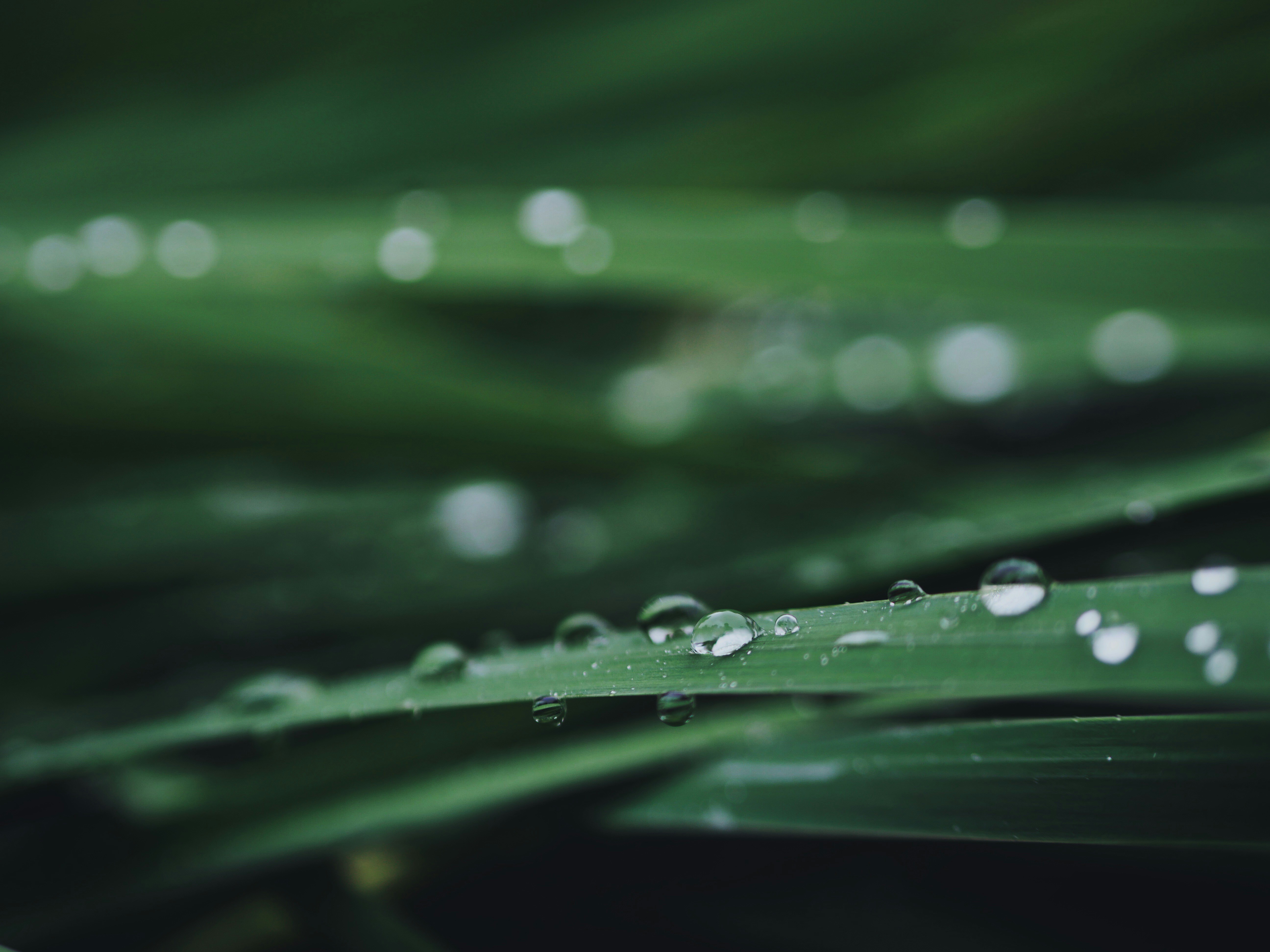 Photo by aaronburden