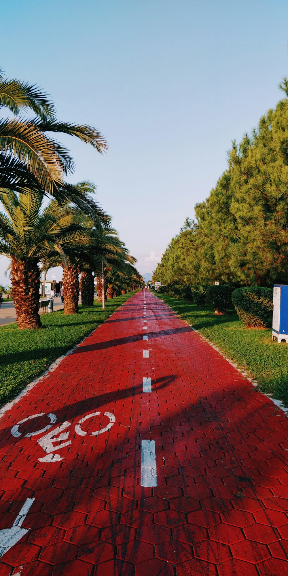 Route peinte en rouge et blanc entre les arbres pendant la journée