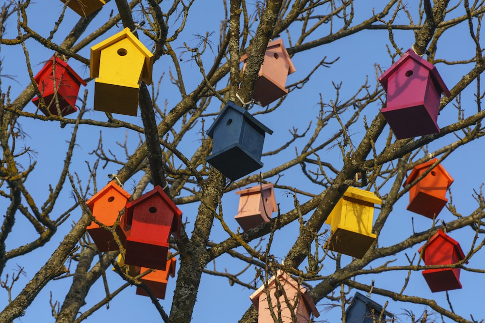 casette per uccelli in legno multicolore sull'albero nudo