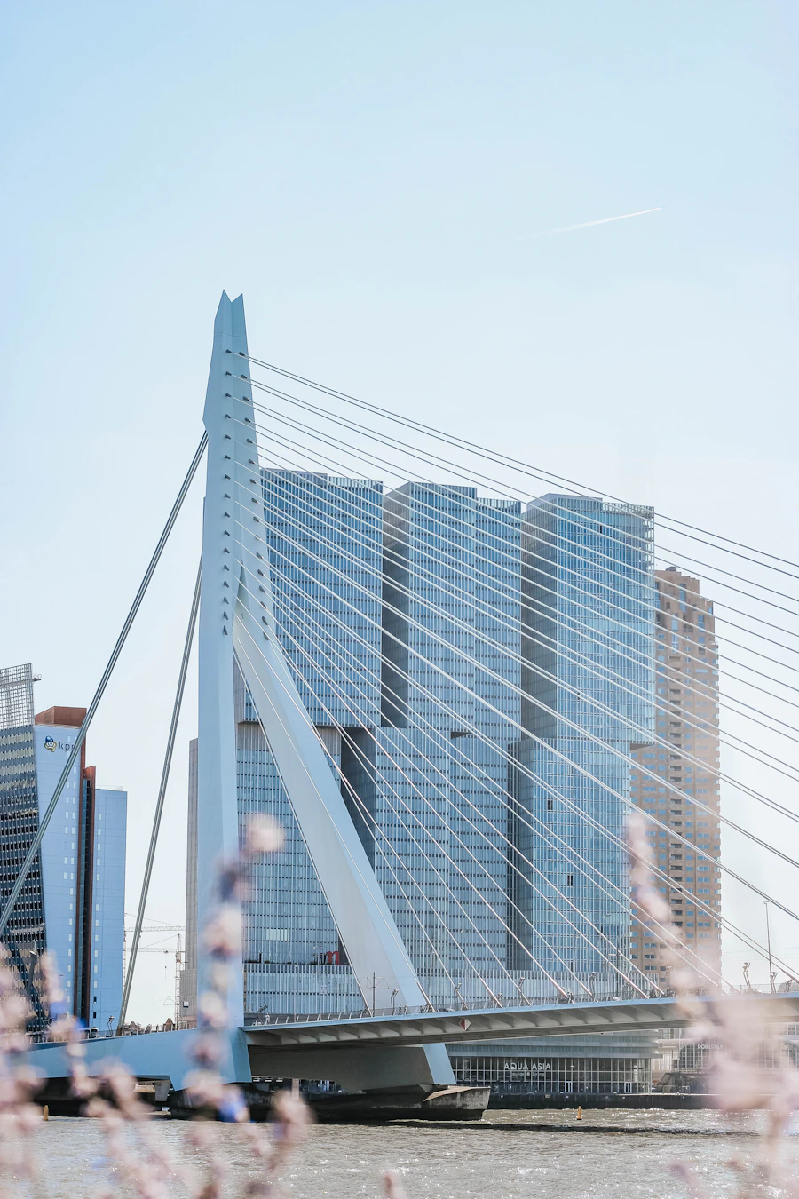 Erasmusbrug и De Rotterdam