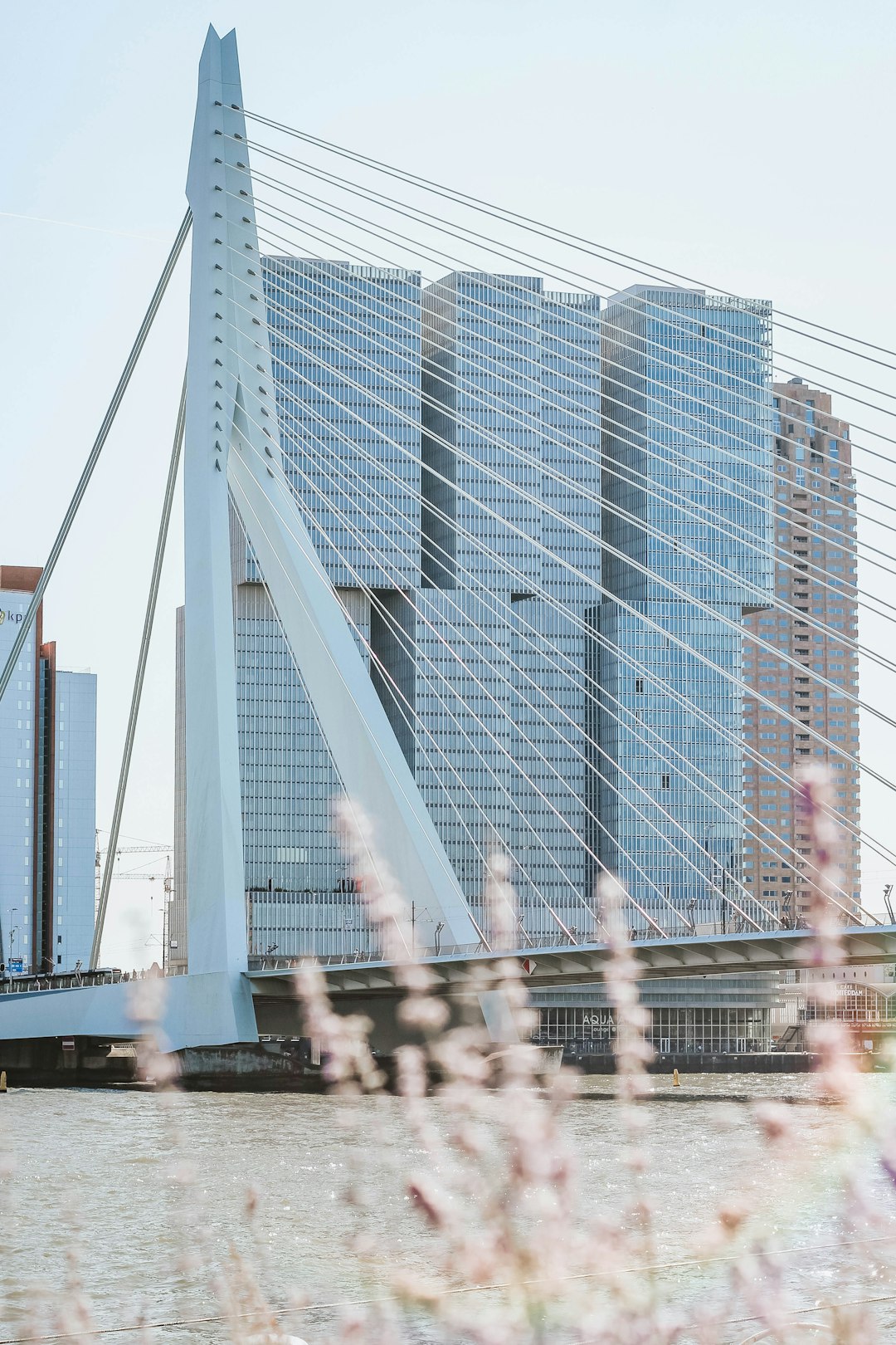 white bridge viewing high-rise buildings during daytime