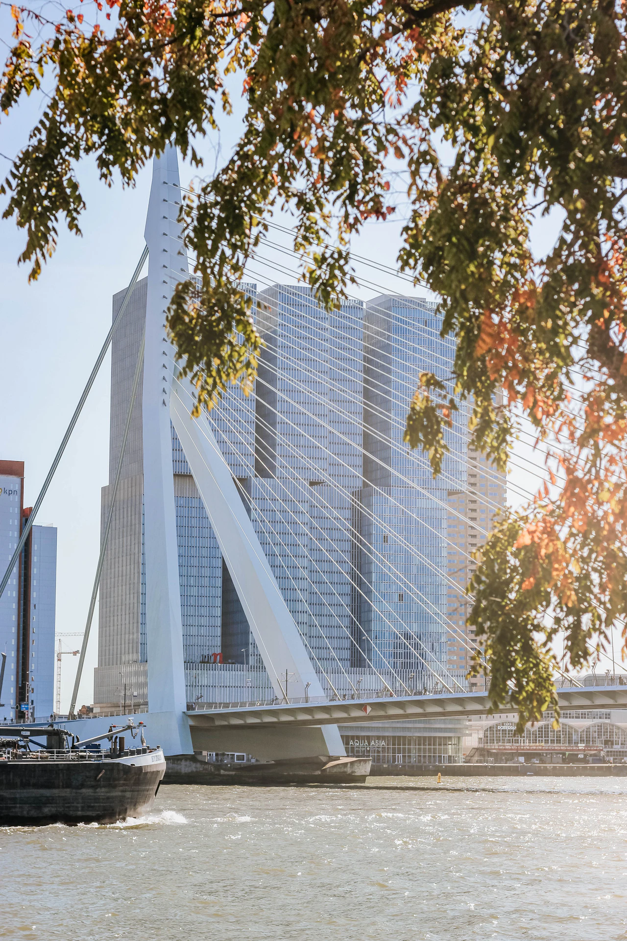Rotterdam waterfront