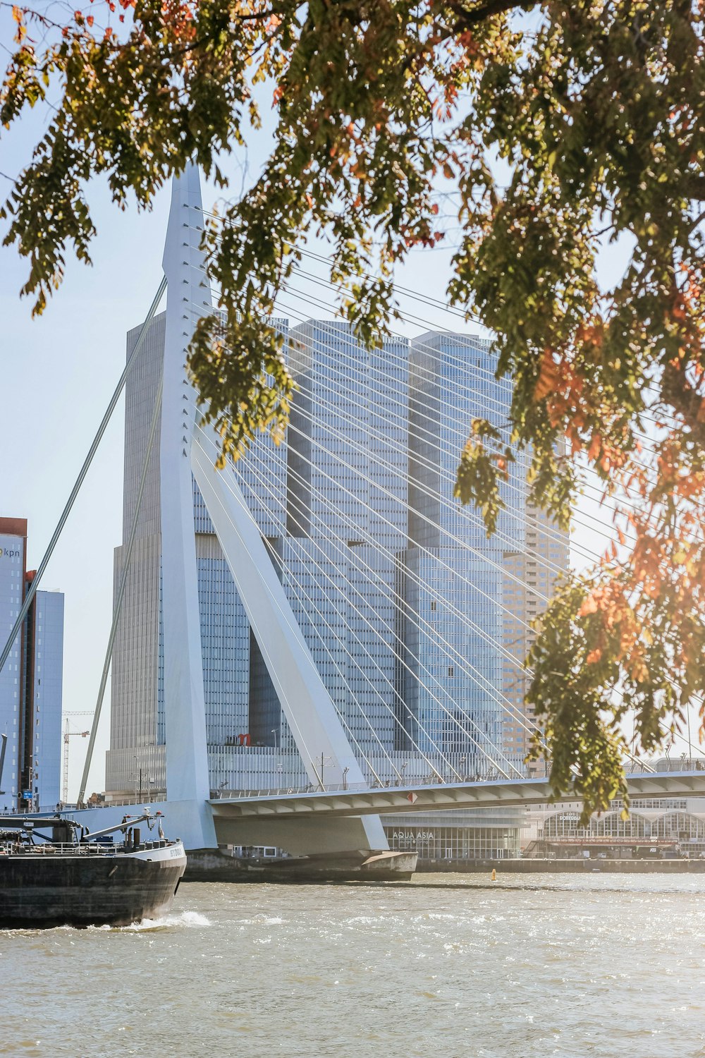 boat on water near building