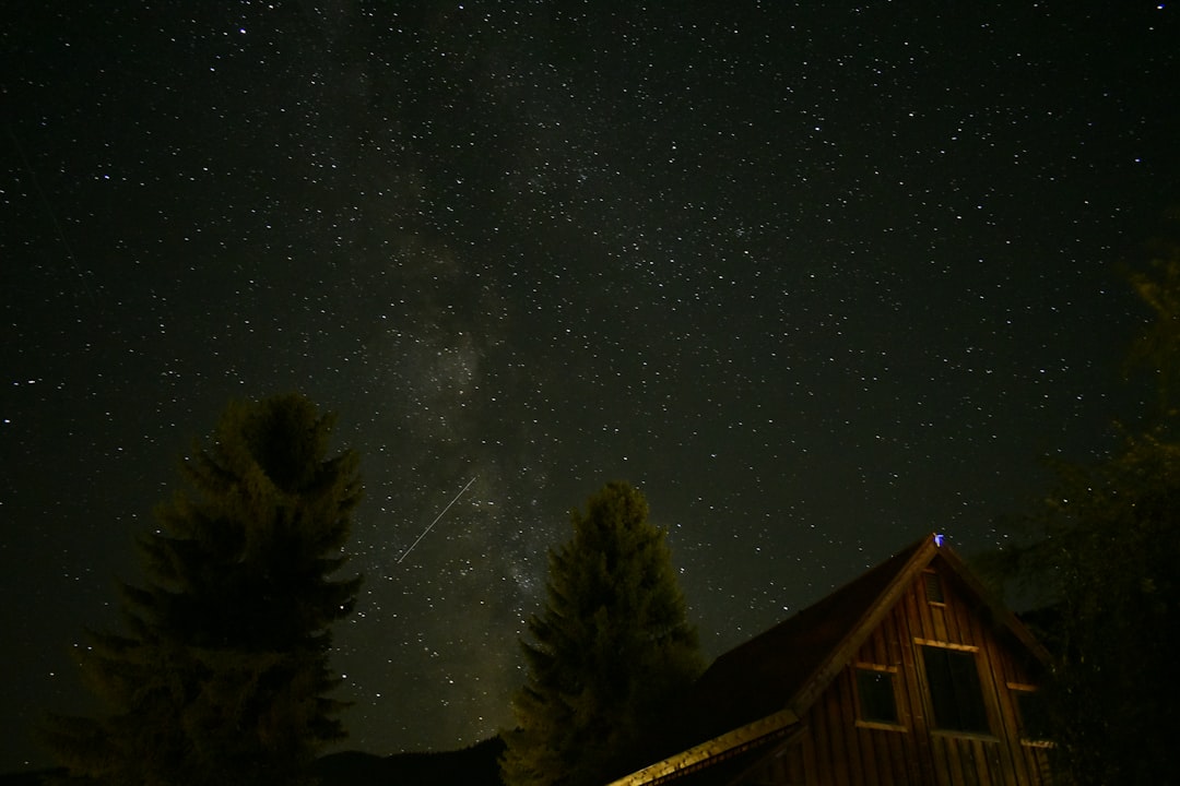 brown cabin besides pine trees during nighttime