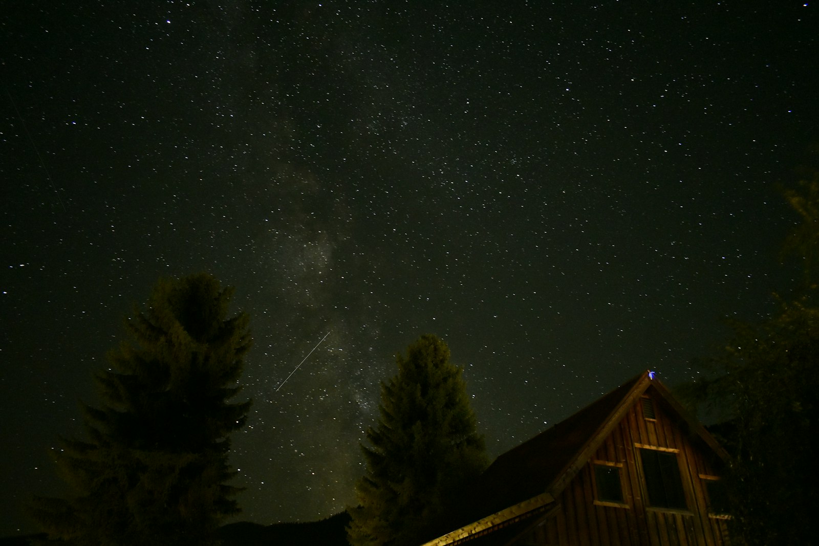 Nikon D3500 + Nikon AF-P DX Nikkor 18-55mm F3.5-5.6G sample photo. Brown cabin besides pine photography