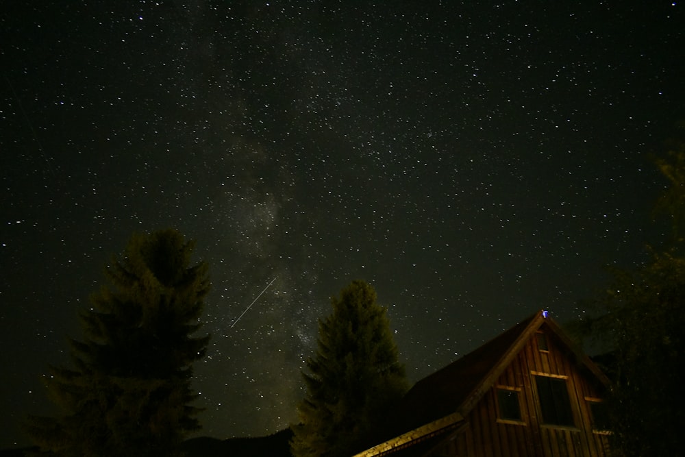 brown cabin besides pine trees during nighttime