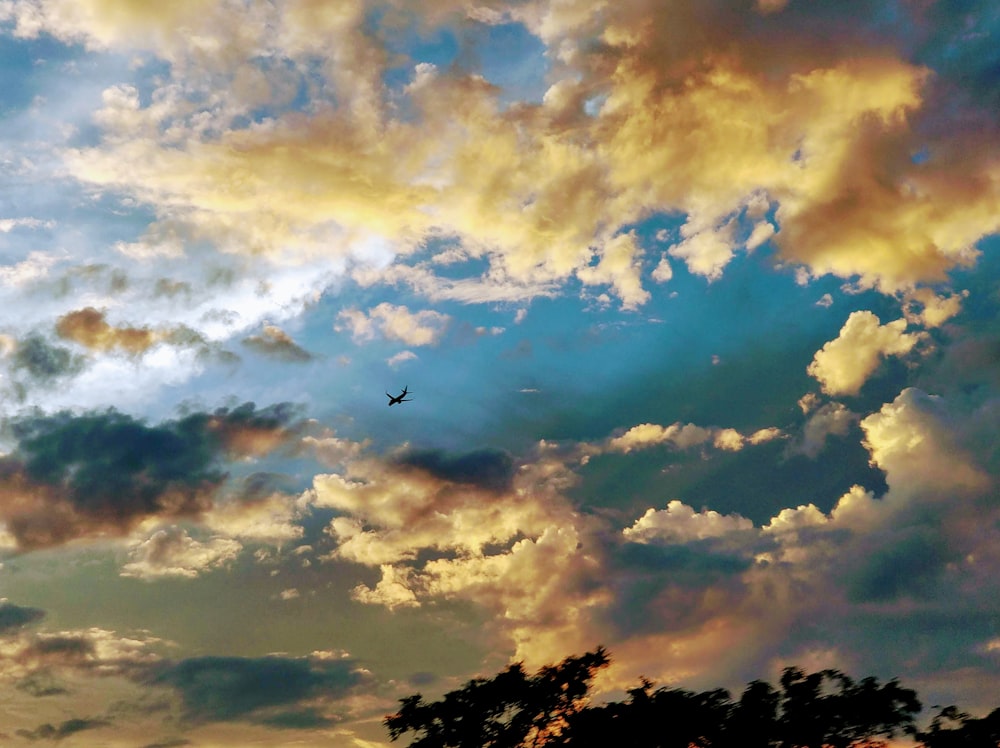 white and grey clouds