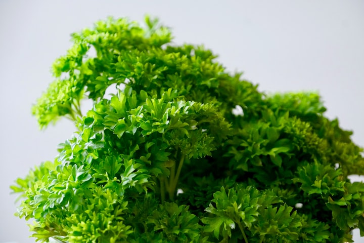 Let's Talk About Parsley