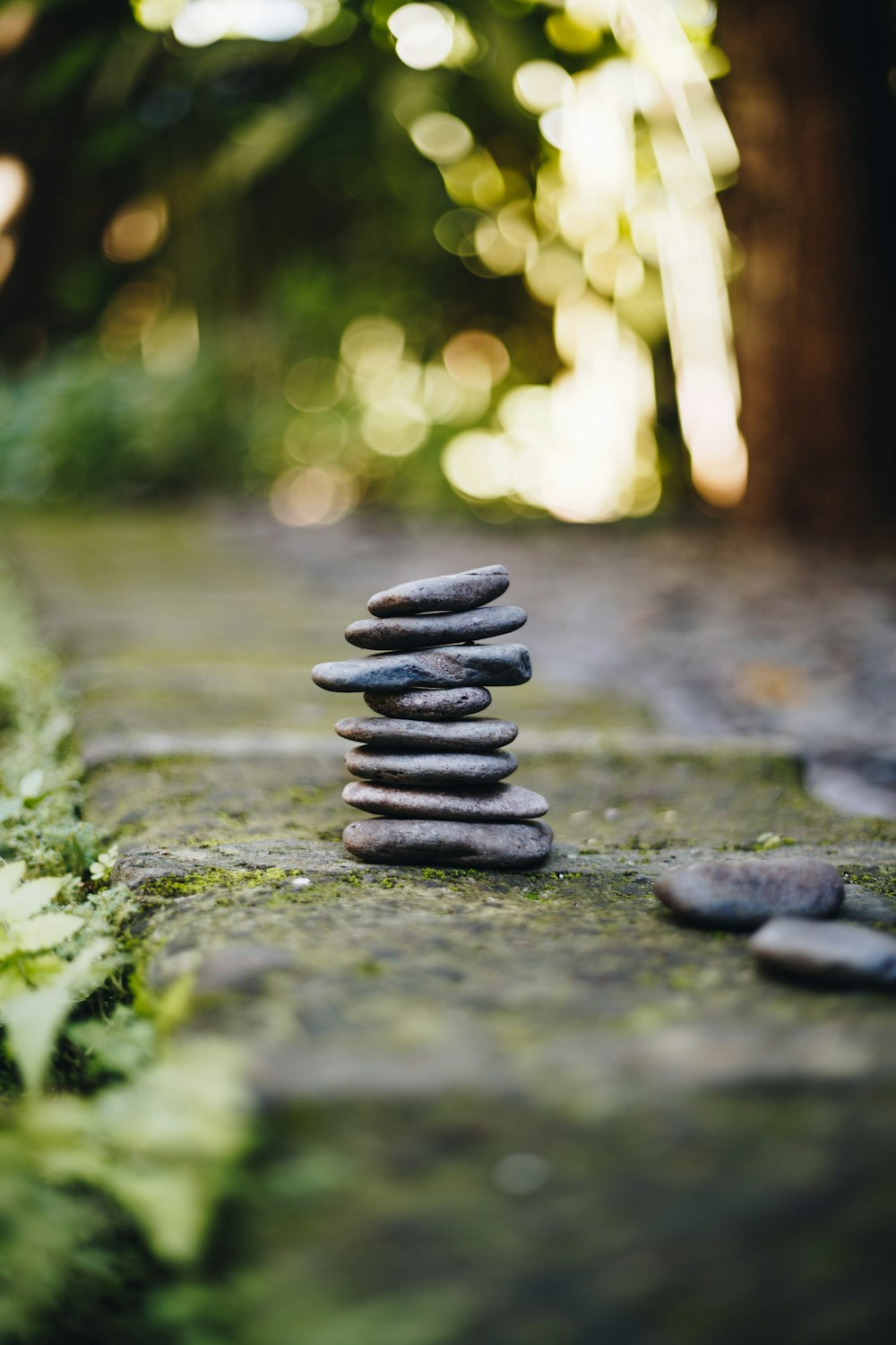 macro photography of gray rock formations