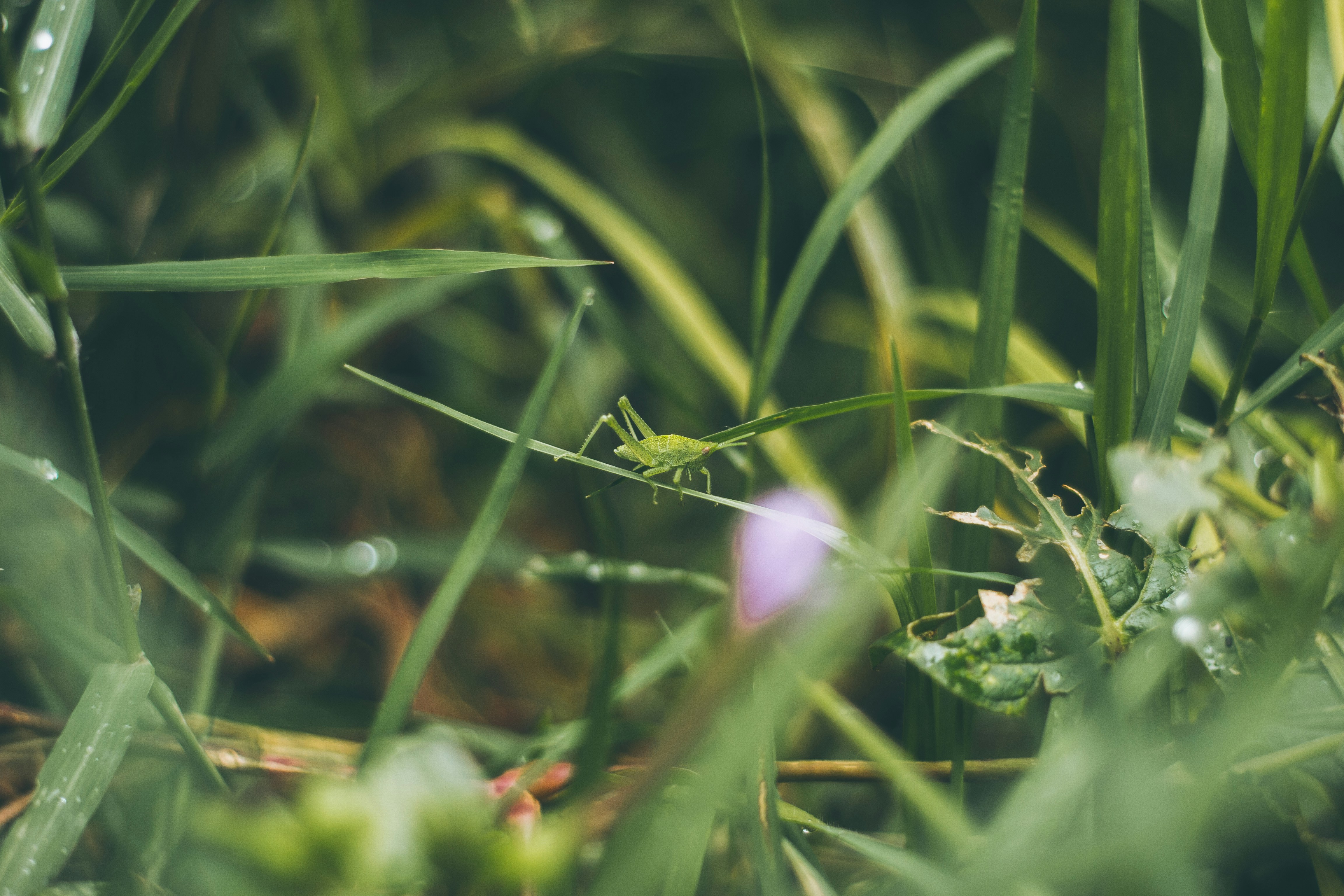 Photo by nielslyhne_kohan