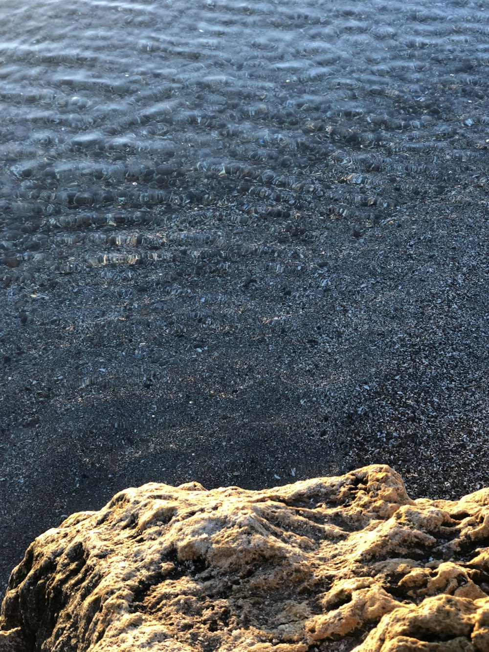 a bird standing on top of a rock next to a body of water