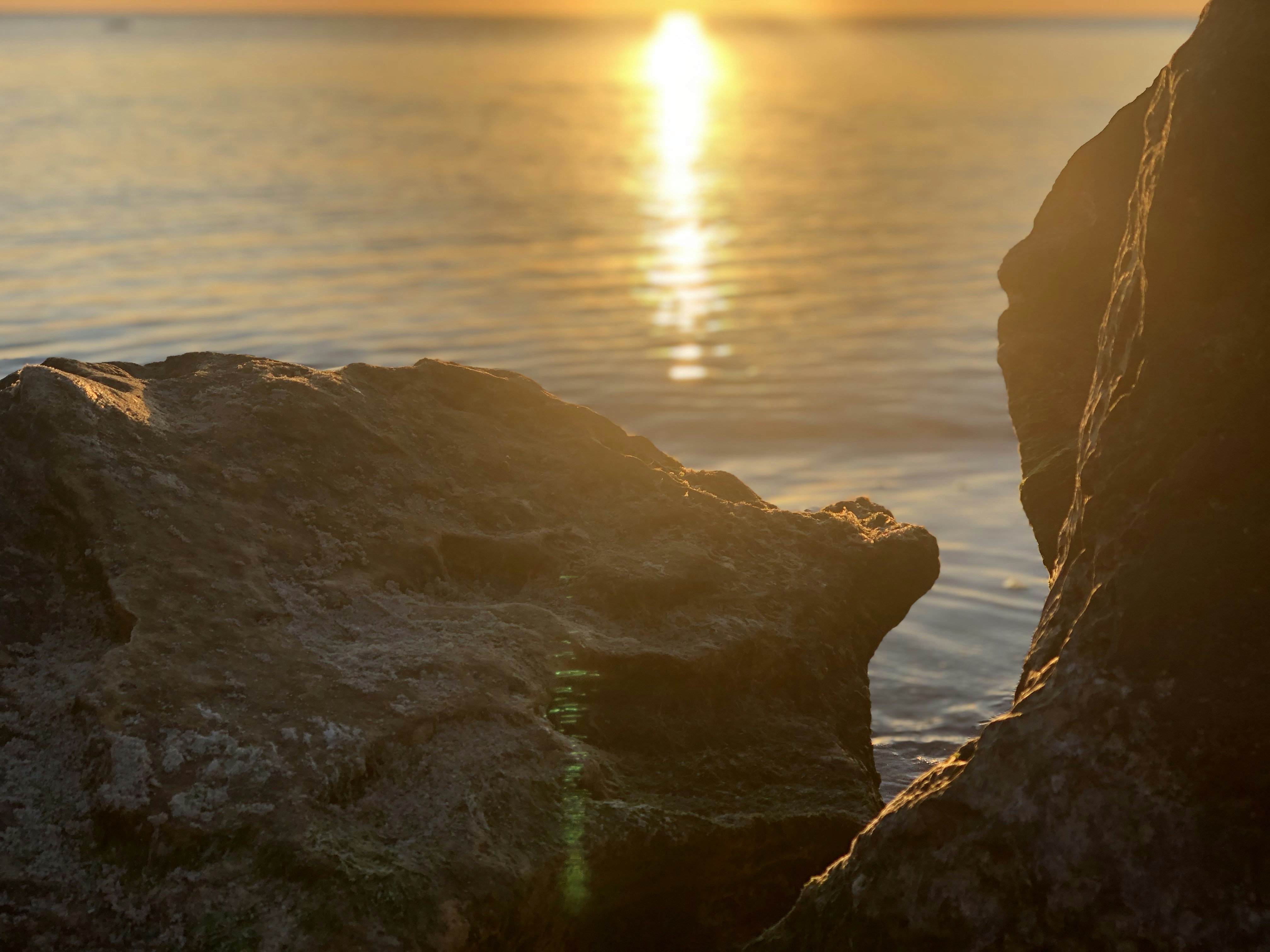 Photo by olexandrignatov