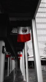 A collage of successful immigration projects in Mexico.