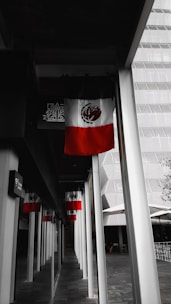 A corridor lined with several pillars and multiple Mexican flags hanging above. The setting appears to be urban, with a building visible in the background featuring a modern architectural design. The flags' vibrant colors stand out against the mostly monochrome surroundings.