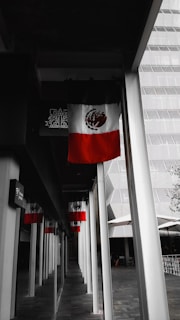 A corridor lined with several pillars and multiple Mexican flags hanging above. The setting appears to be urban, with a building visible in the background featuring a modern architectural design. The flags' vibrant colors stand out against the mostly monochrome surroundings.