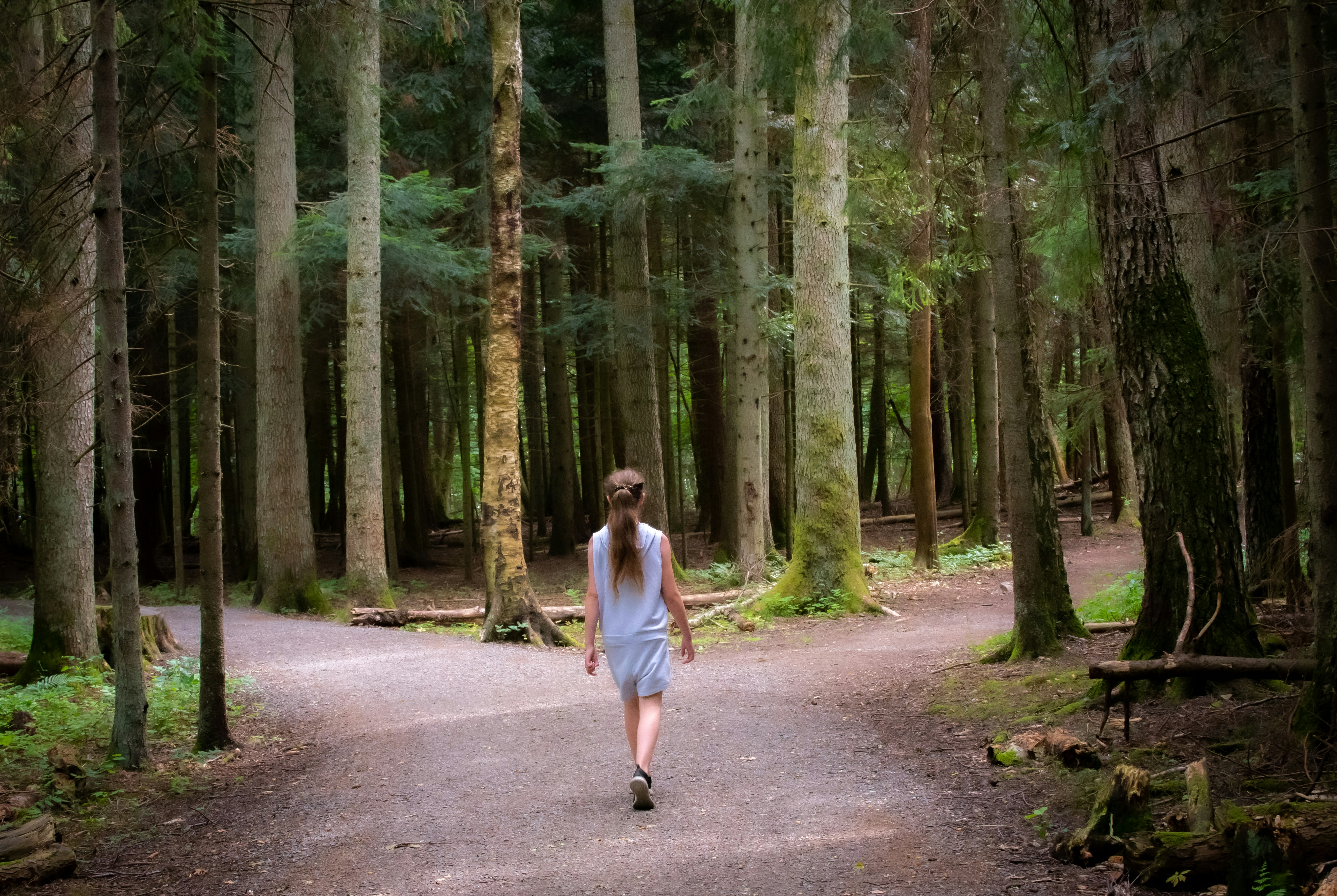 Showing Up: What Two Ancient Traditions Reveal About the Lost Discipline of Staying