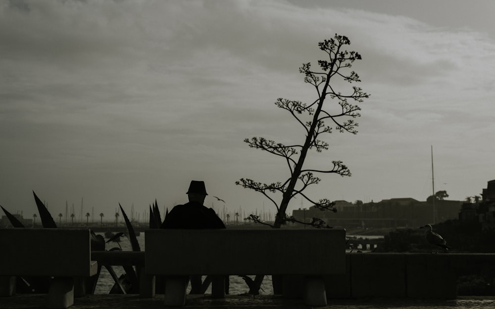 man sitting on bench