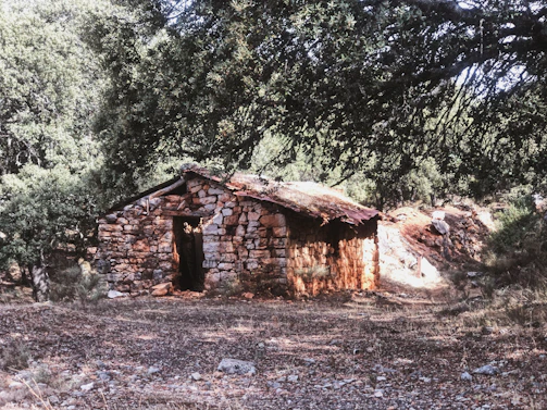 A rugged hiking stick leaning against a weathered wooden cabin in the forest.