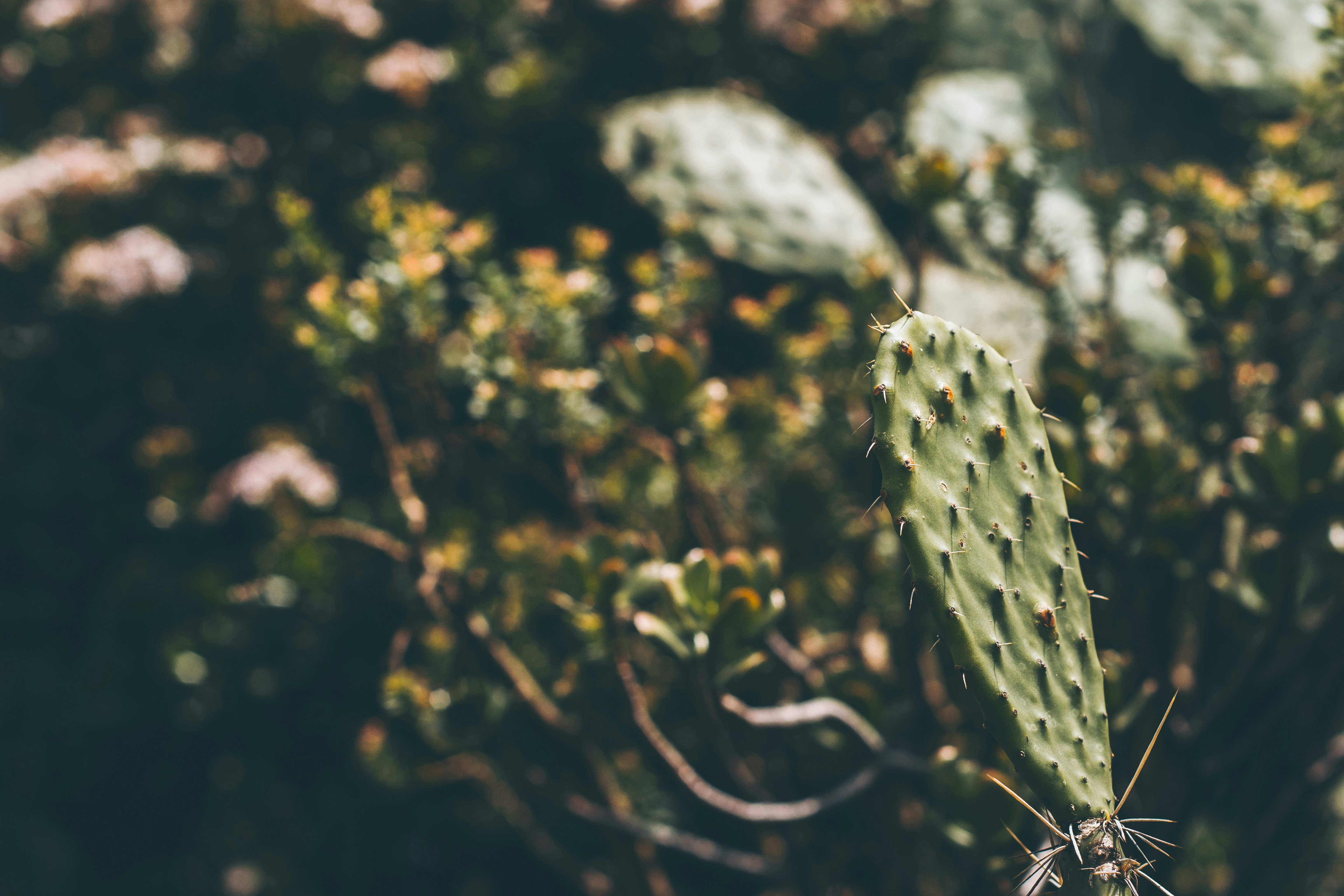 Photo by nielslyhne_kohan