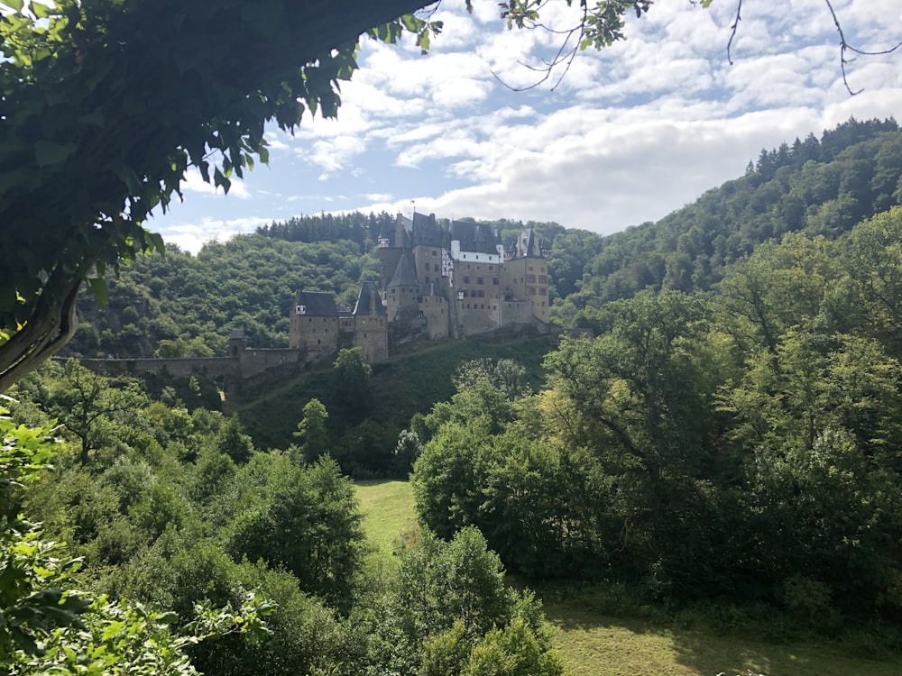 gray concrete castle surrounded by trees during daytime