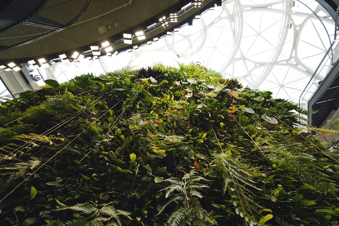 low-angle photography of green tree inside building