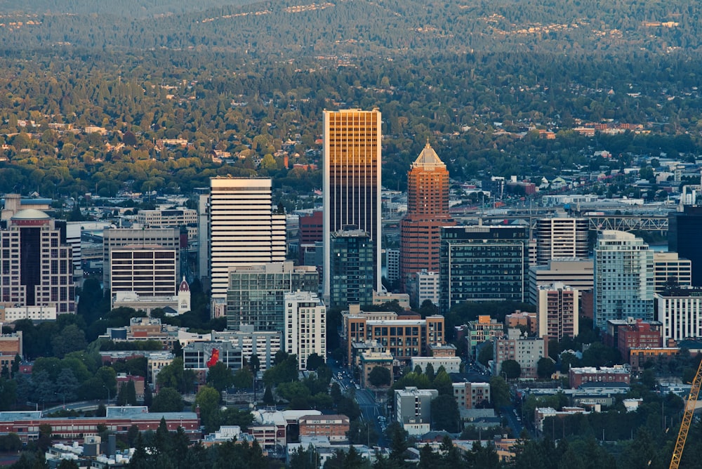 aerial photography of high rise building