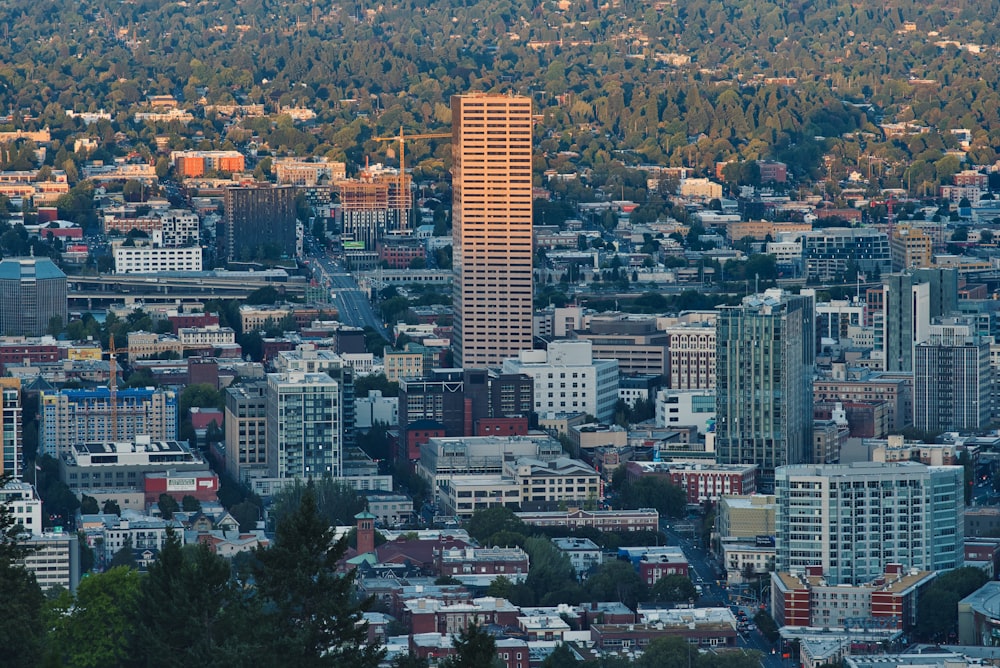 a view of a city with tall buildings