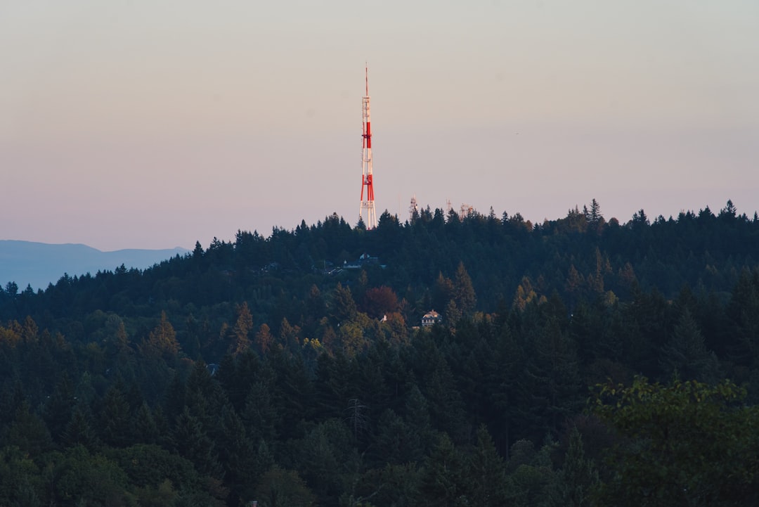 aerial photography of white and red tower