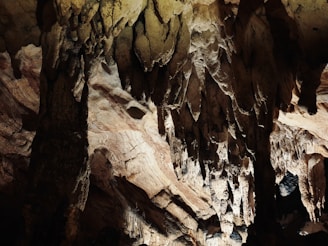 Intricate limestone formations hang from the ceiling of a dimly lit cave, showcasing a variety of stalactites with textured surfaces. The play of light and shadow accentuates the rugged and natural beauty of the cave's interior.