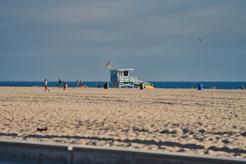 people on seashore during daytime