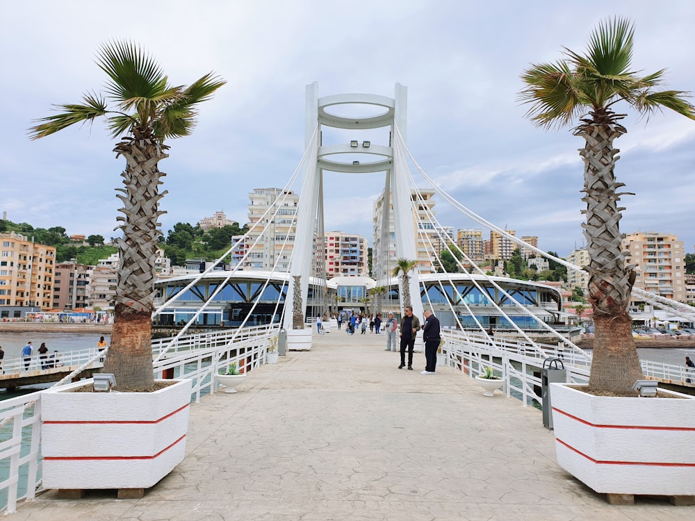 a couple of palm trees sitting on top of a bridge