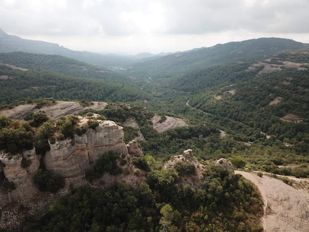 aerial photography of cliff and trees