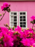 Bright bedroom with soft pastel pink walls and natural light streaming through the window.