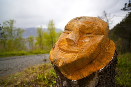 A wooden sculpture of a face carved into a tree stump, situated in an outdoor setting with trees and a pathway in the background. The sculpture features detailed facial expressions and is the focal point of the image.