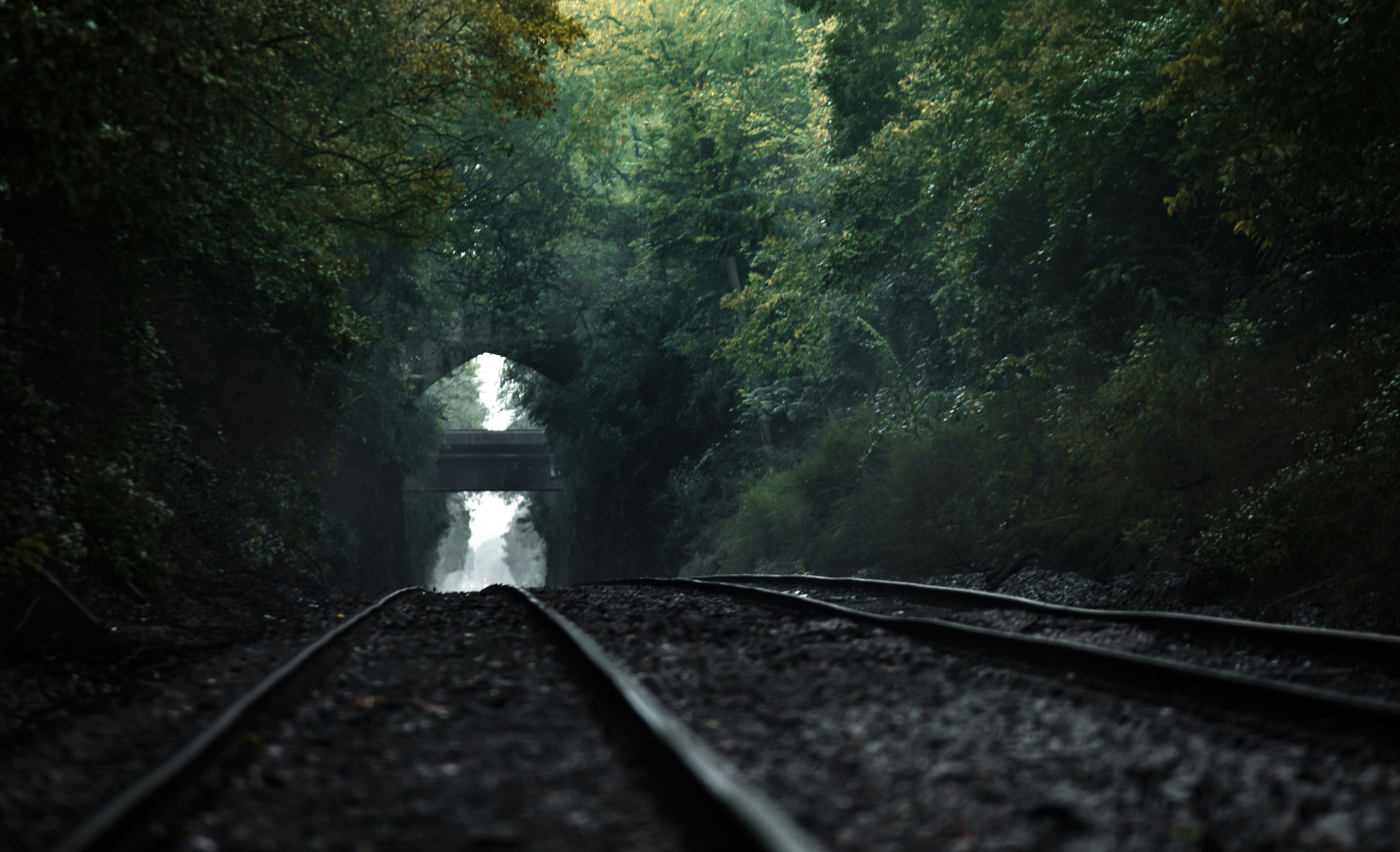 Photo by pedrotheartist