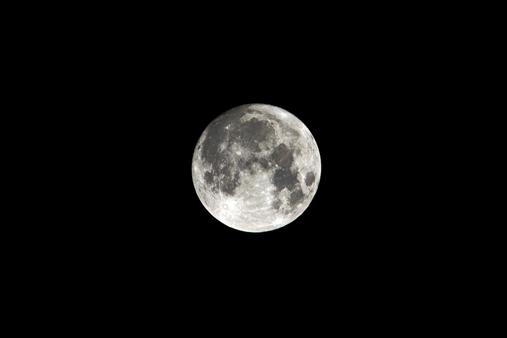 low-angle photo of fullmoon