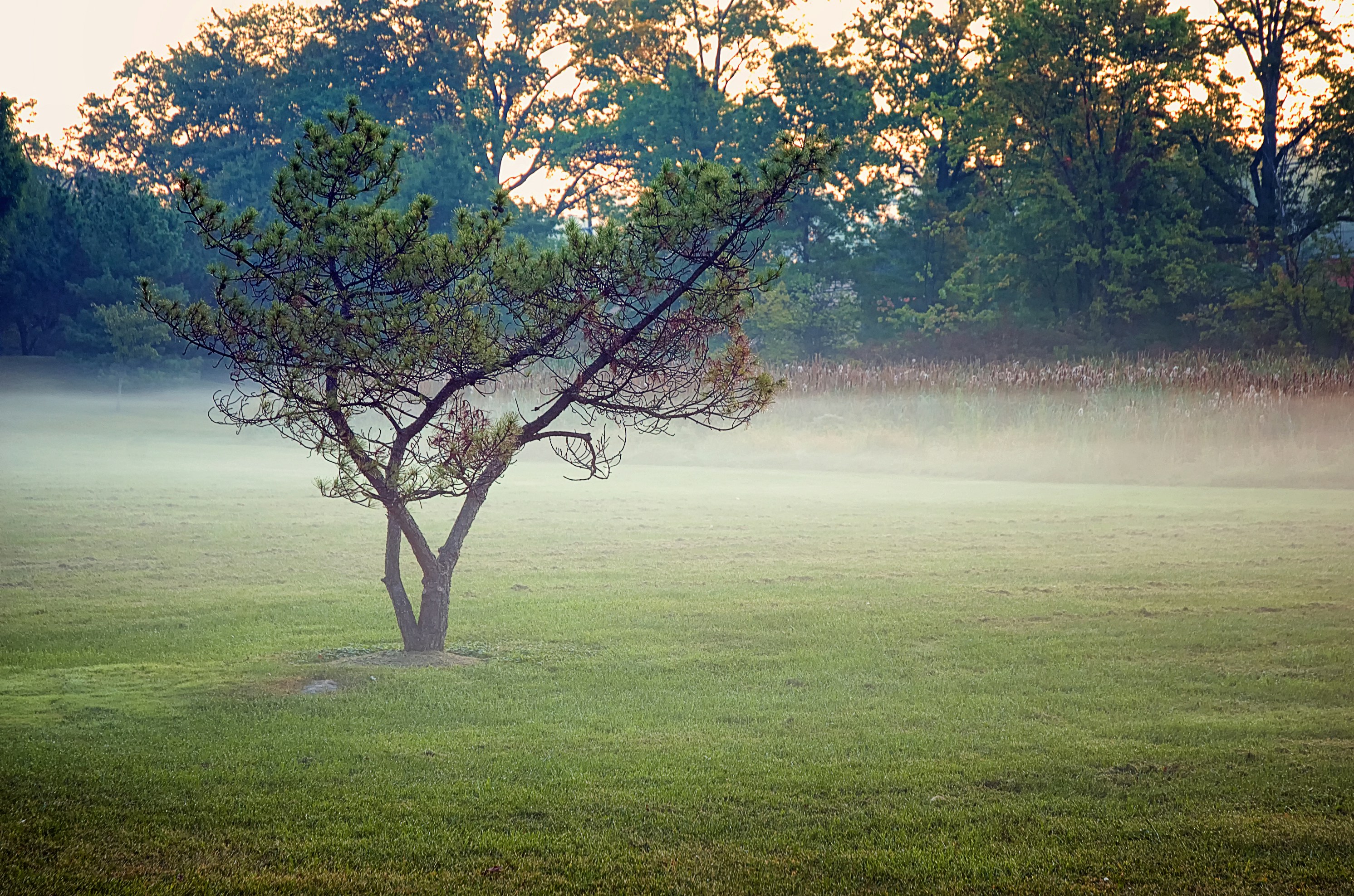 Photo by rthiemann