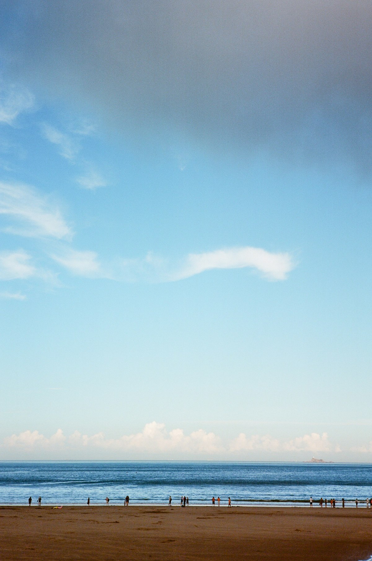 Surreal whale skeleton in pink landscape - Big Wave Digital creative tech jobs