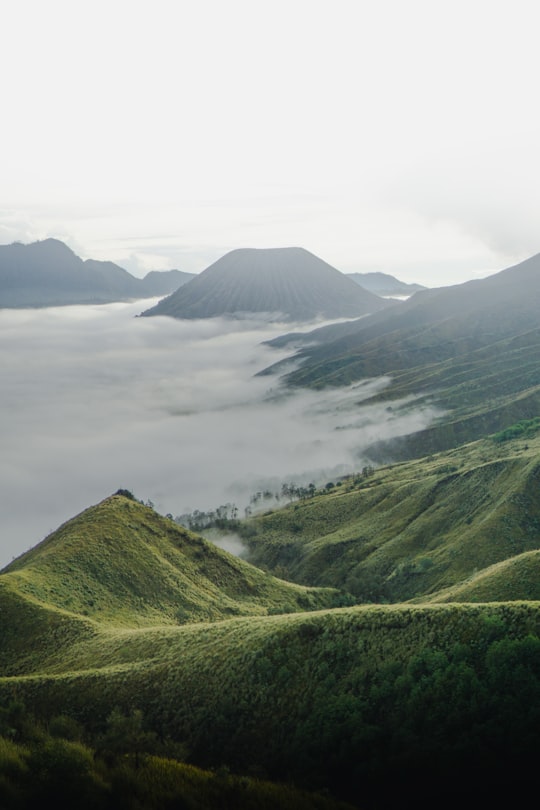 green covered mountain in Mount Bromo Indonesia