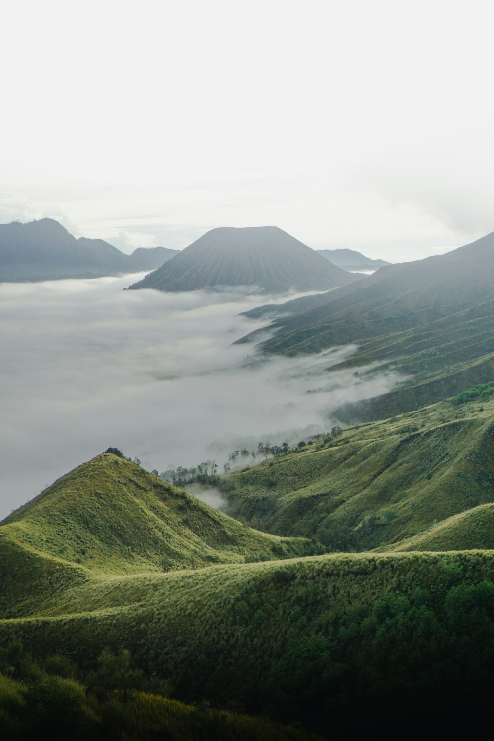 green covered mountain