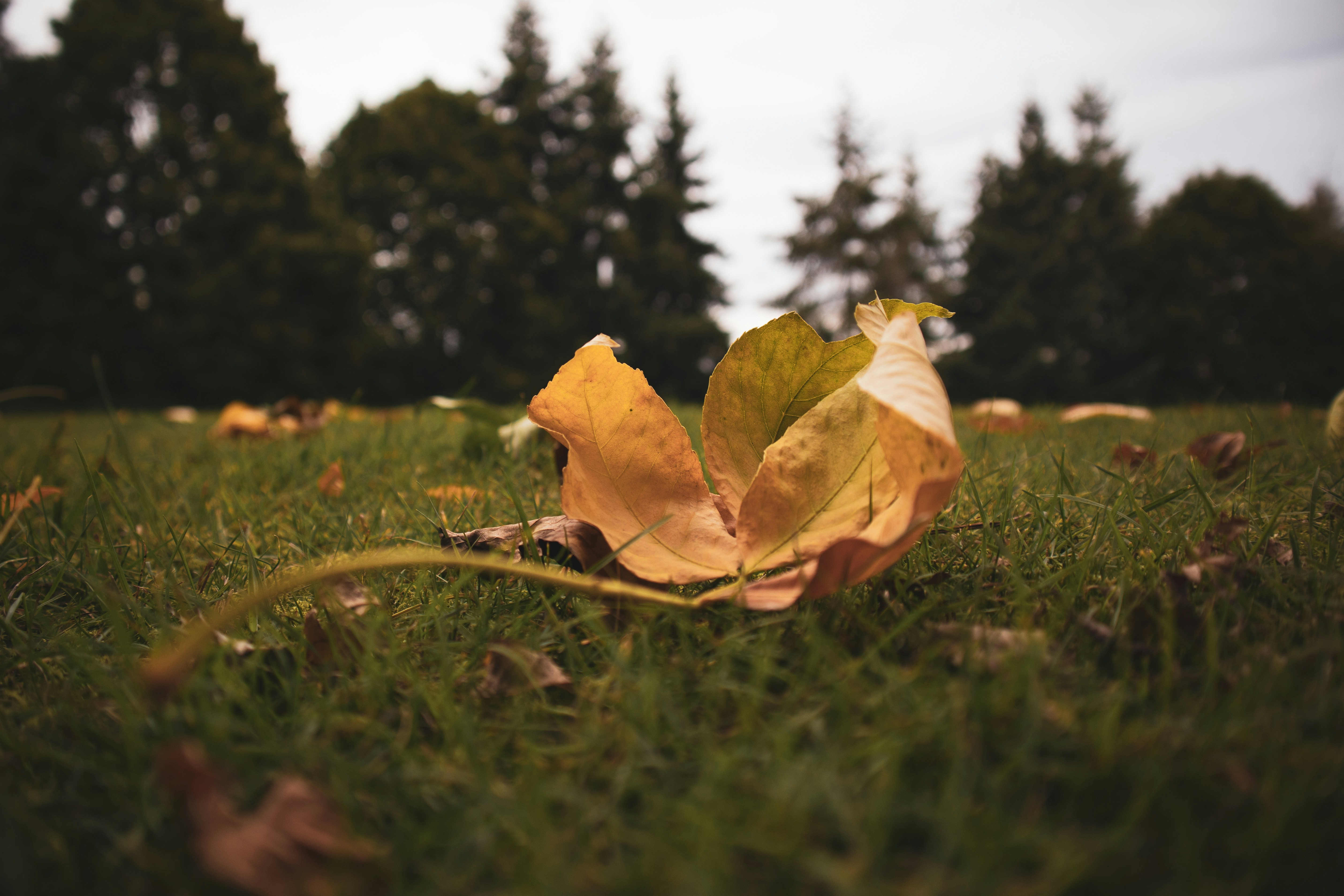 Photo by rstone_design