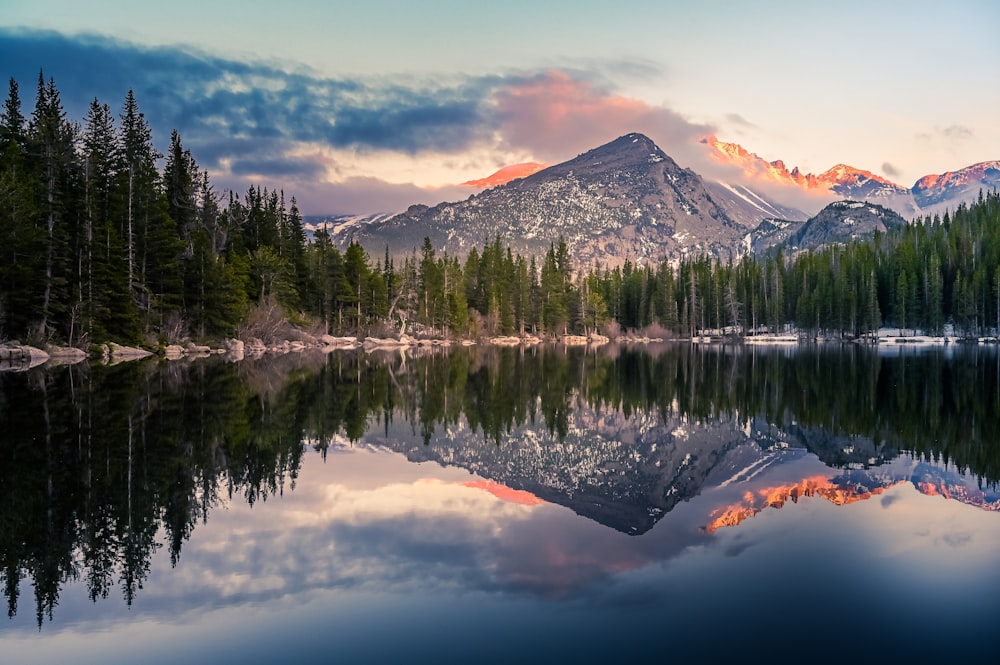 trees reflecting on calm lake